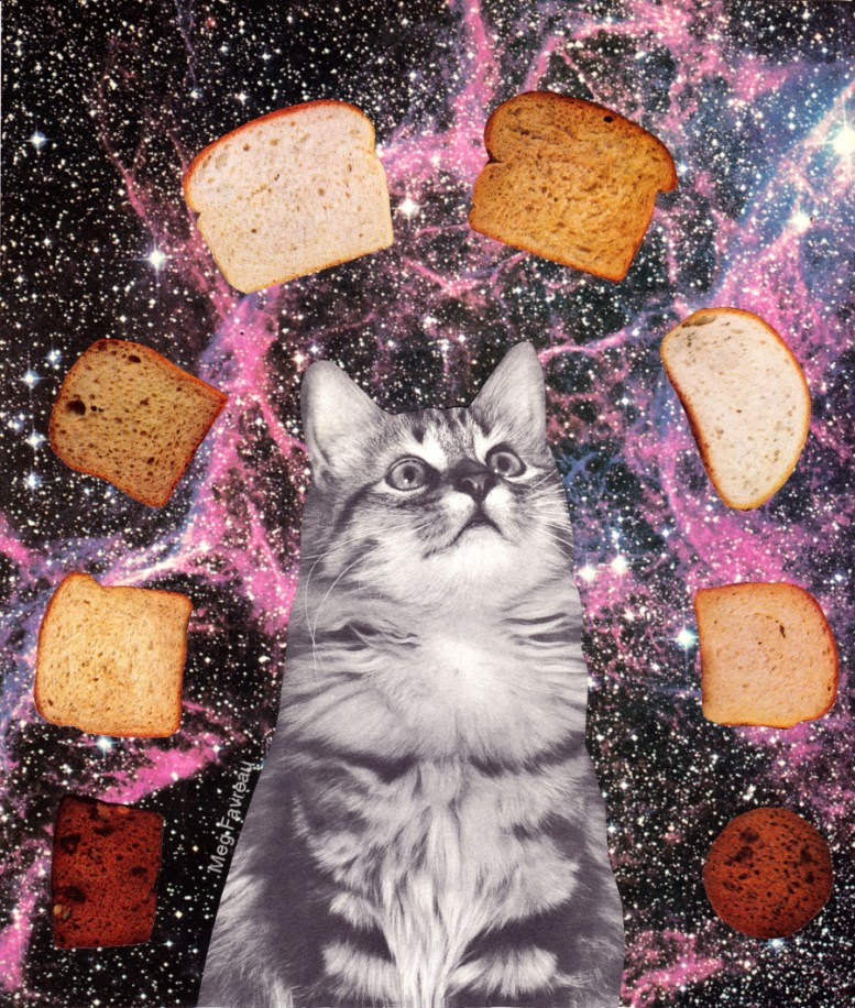 bread_space_cat_contrast_websoc